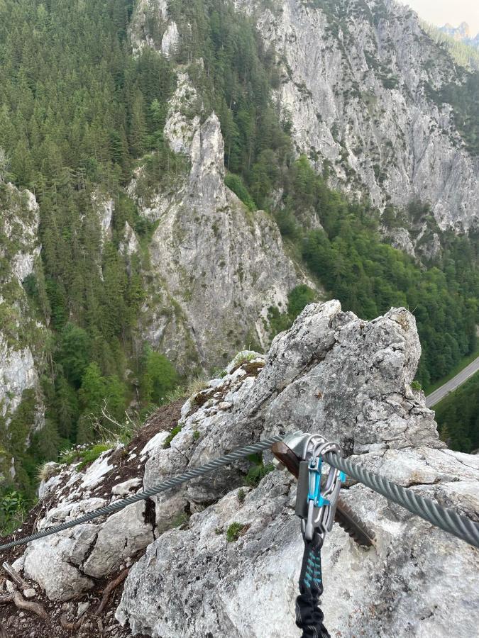 Berghaus Gesaeuse Pension Weng im Gesause Buitenkant foto