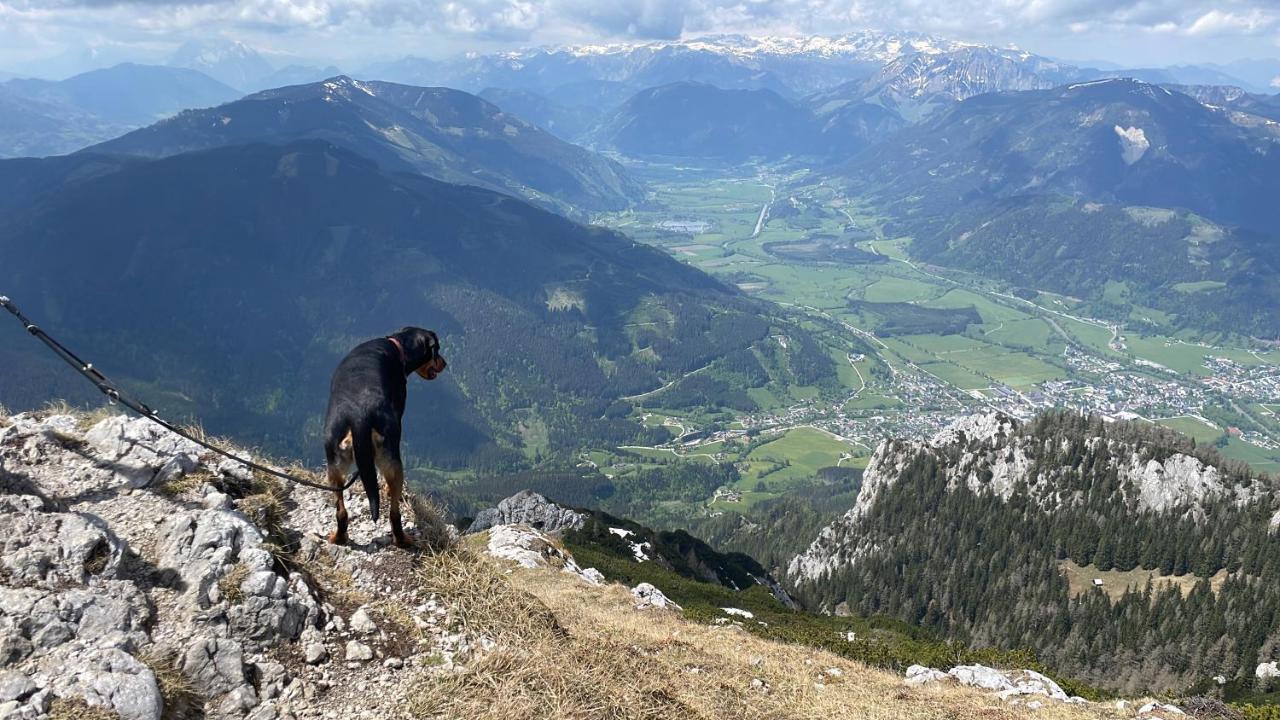 Berghaus Gesaeuse Pension Weng im Gesause Buitenkant foto