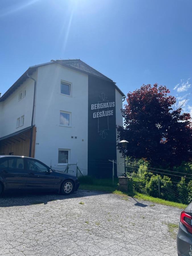 Berghaus Gesaeuse Pension Weng im Gesause Buitenkant foto